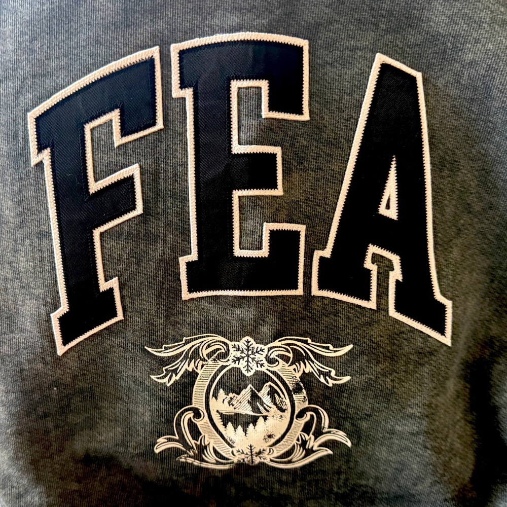 Formula 1 FEA RIC 3 Daniel Ricciardo sweatshirt L